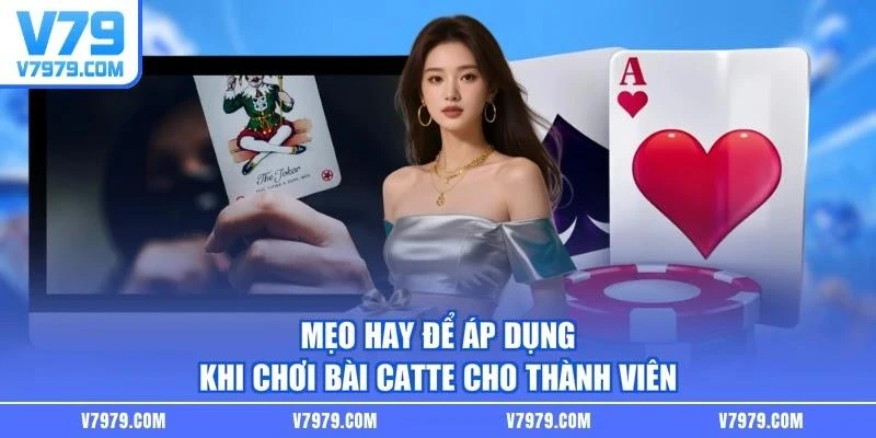Mẹo hay để áp dụng khi chơi bài Catte cho thành viên