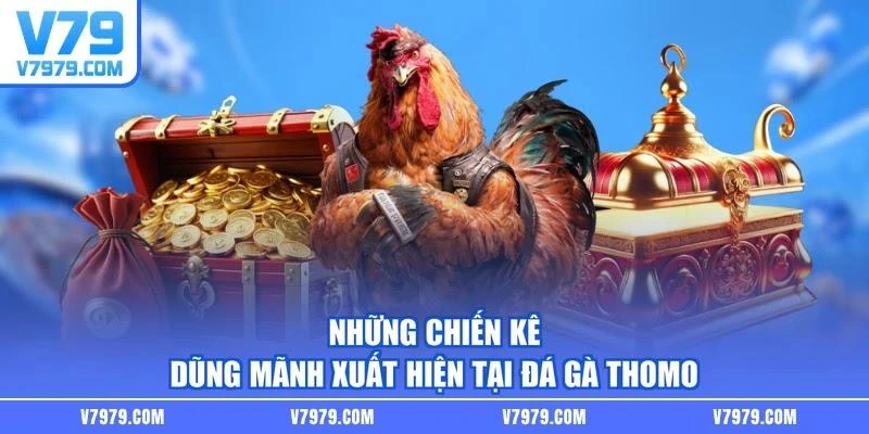 Những chiến kê dũng mãnh xuất hiện tại đá gà Thomo