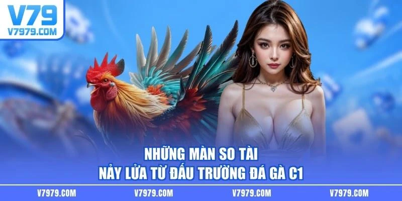 Những màn so tài nảy lửa từ đấu trường đá gà C1